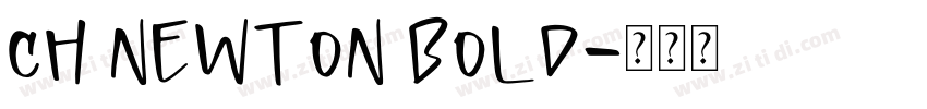 Ch Newton Bold字体转换